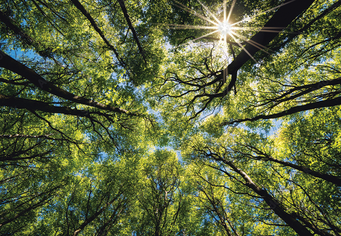 Contact Us – We are here to help